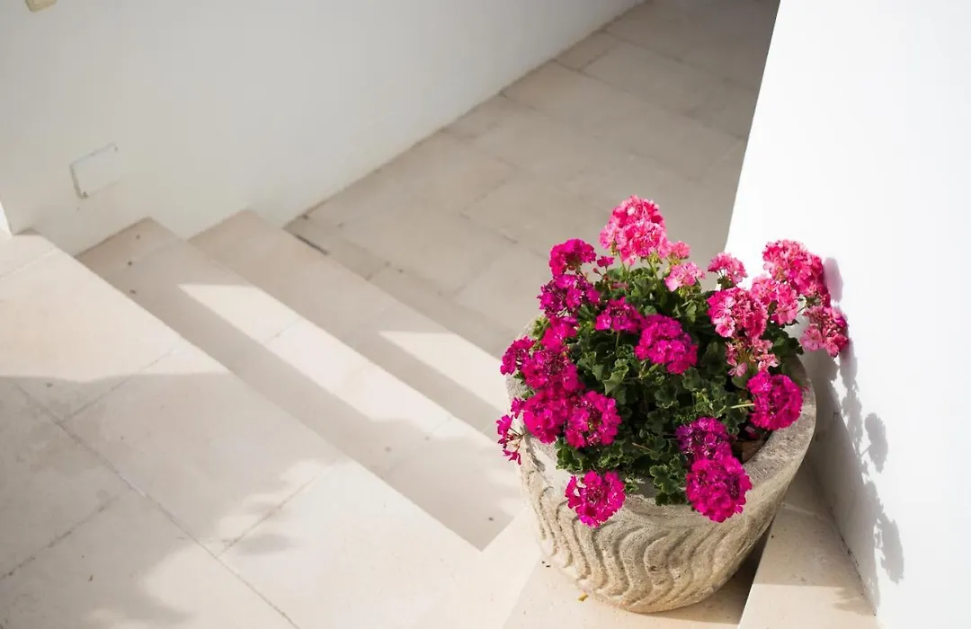 Apartamento Gama Estudio-1