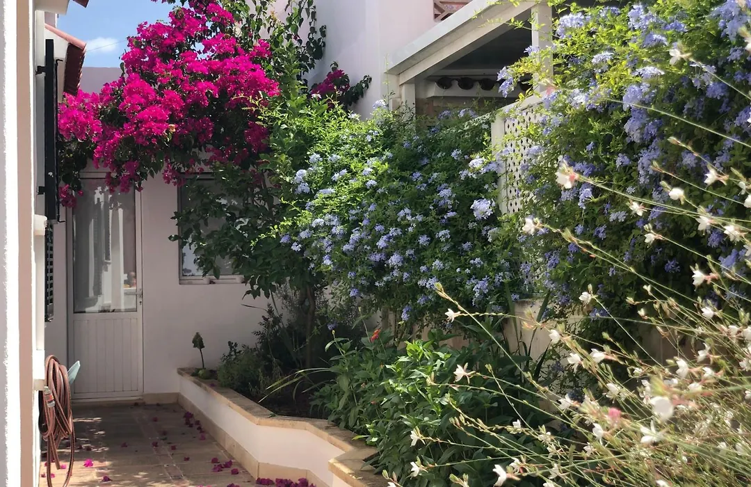 Habitación con baño y jardín privado en Casa Típica Ciutadella centro-1