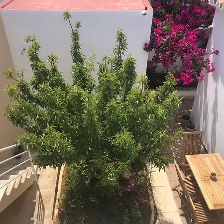 Habitación con baño y jardín privado en Casa Típica Ciutadella centro-2