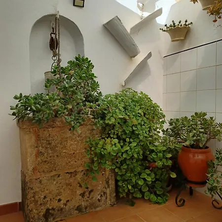 Casa en Ferreries-3
