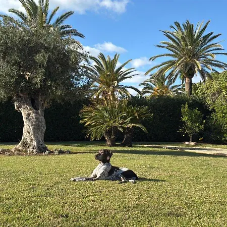 LA CALMA Espectacular villa con jardín y piscina en Menorca-2
