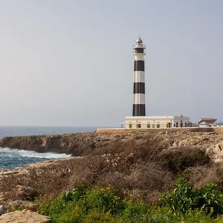 El Faro 8-2