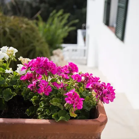 Apartamentos Gama-3