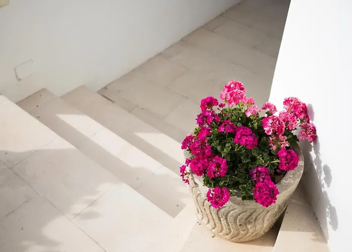 Apartamento Apartamento estudio GAMA Cala Galdana 