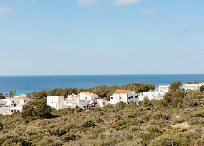 Hotel Minura Sur Menorca Punta Prima  admite animales